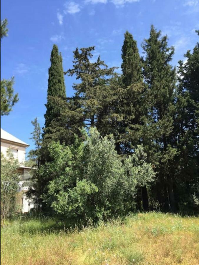 Villa Salomi Лефкада Екстериор снимка